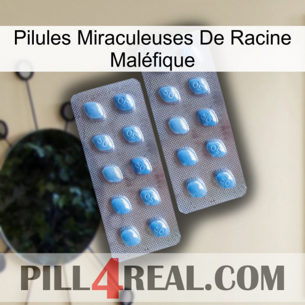 Pilules Miraculeuses De Racine Maléfique viagra4